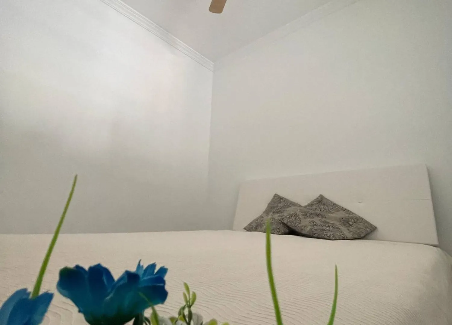 Apartament Gala De Steram Flats Torremolinos